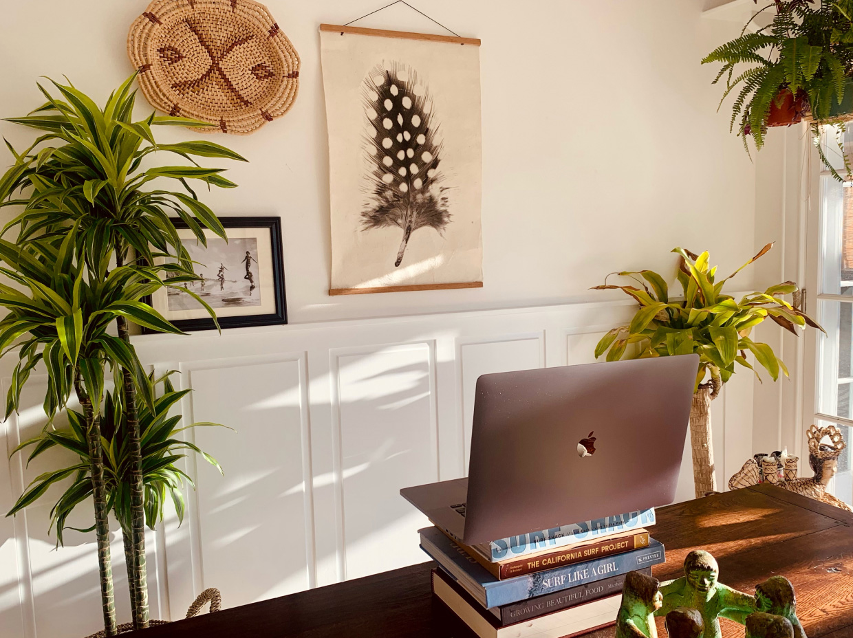 A home office desk with plants and books.